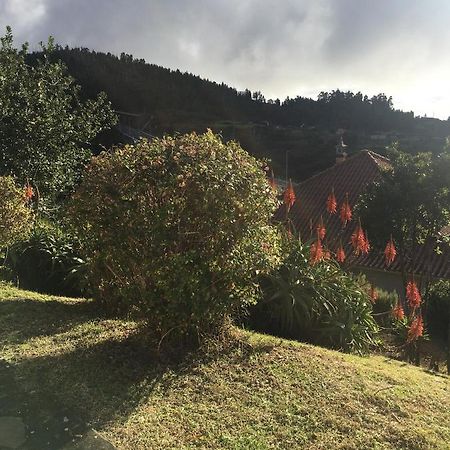 Bungalows Do Amparo Ponta do Pargo Zewnętrze zdjęcie