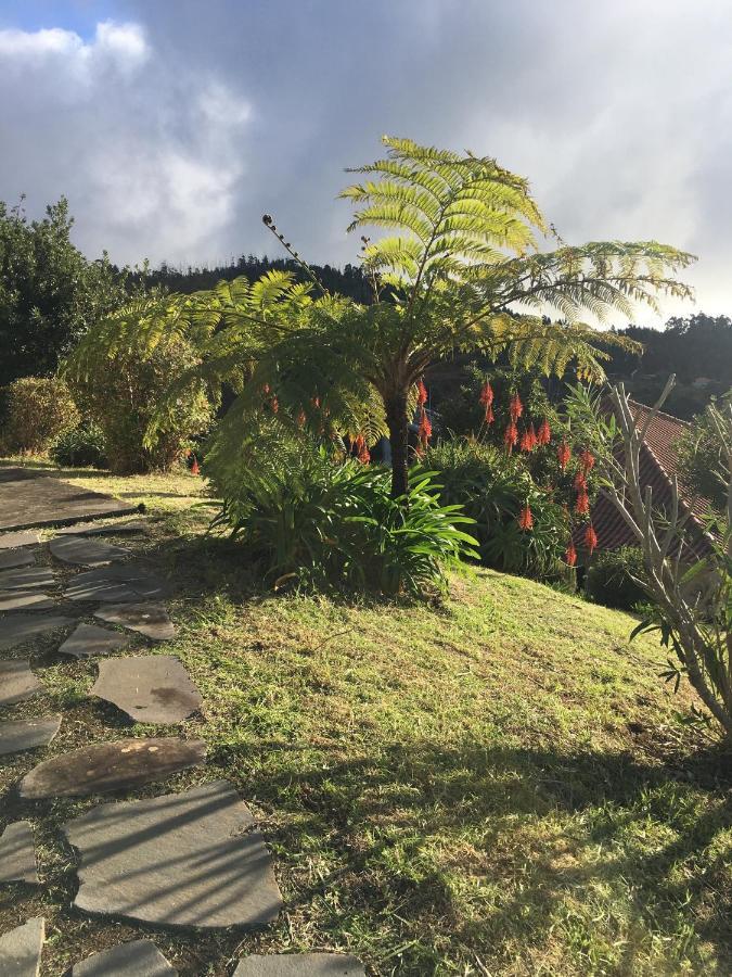 Bungalows Do Amparo Ponta do Pargo Zewnętrze zdjęcie