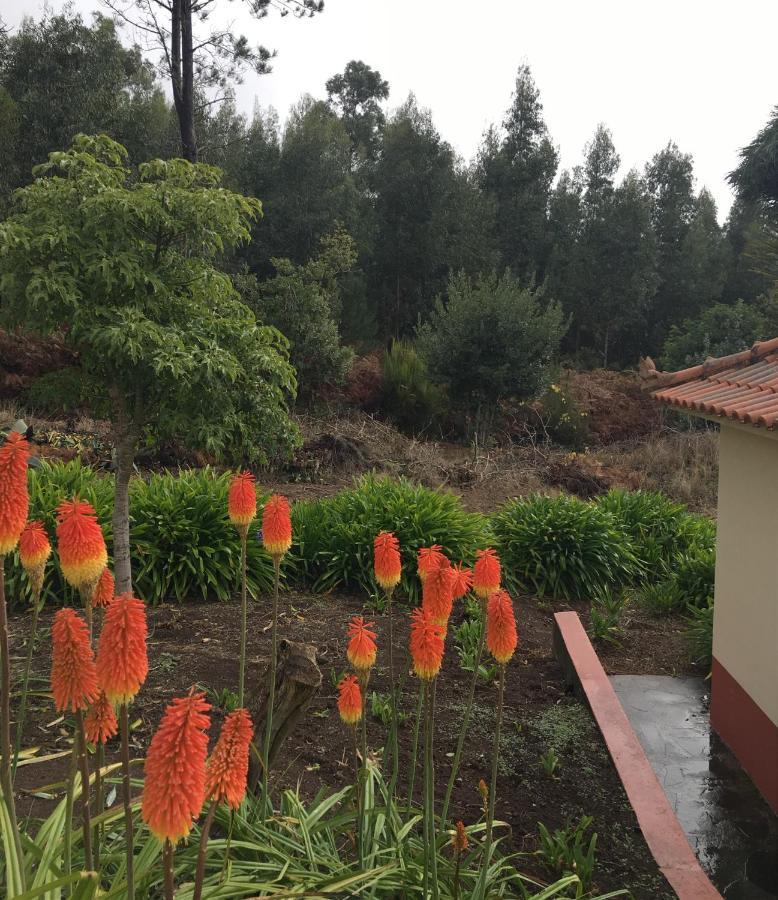 Bungalows Do Amparo Ponta do Pargo Zewnętrze zdjęcie