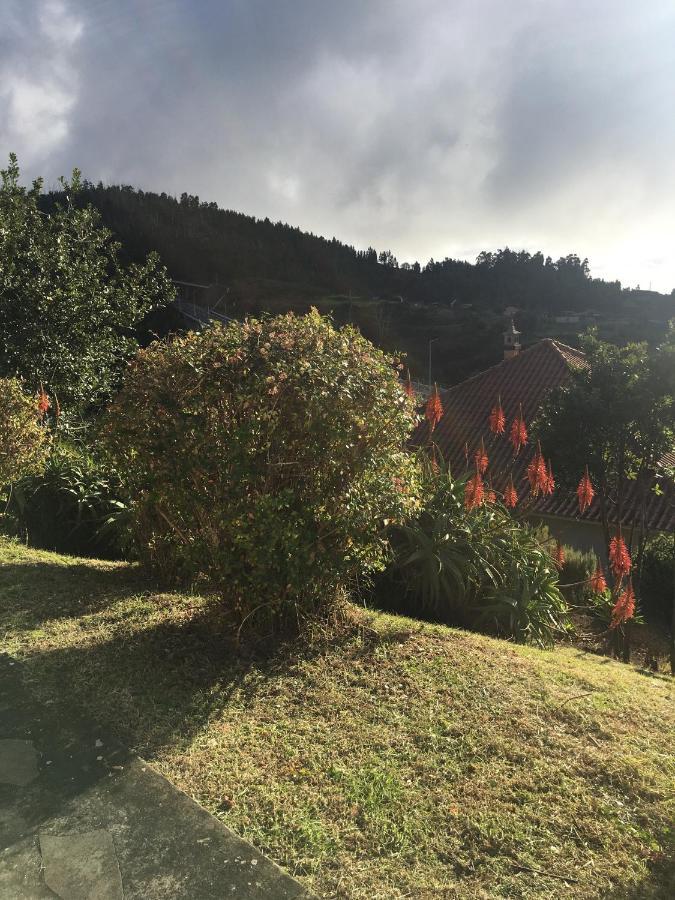 Bungalows Do Amparo Ponta do Pargo Zewnętrze zdjęcie