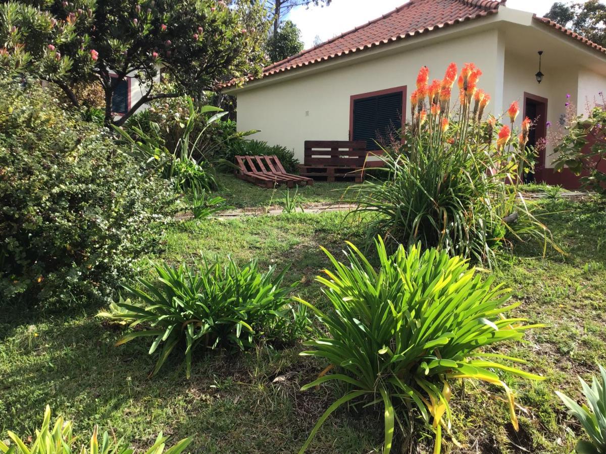 Bungalows Do Amparo Ponta do Pargo Zewnętrze zdjęcie
