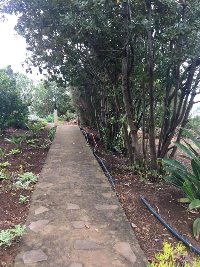 Bungalows Do Amparo Ponta do Pargo Zewnętrze zdjęcie