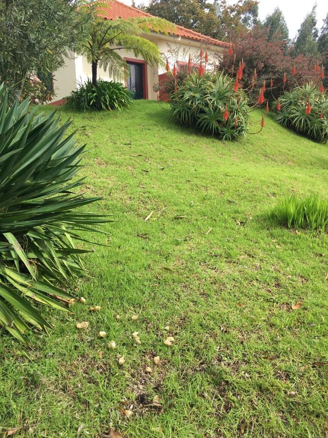 Bungalows Do Amparo Ponta do Pargo Zewnętrze zdjęcie