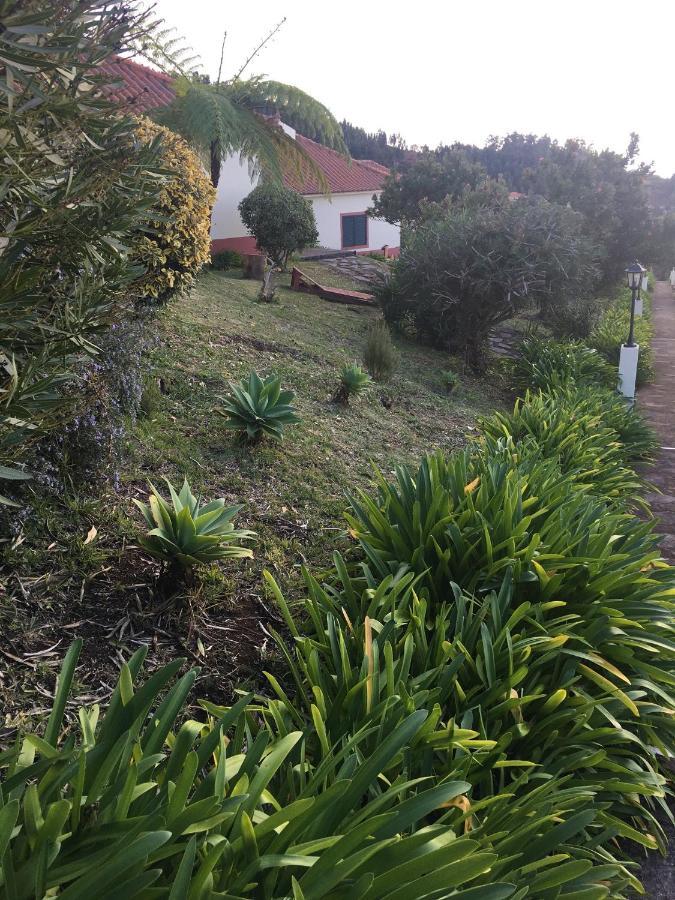 Bungalows Do Amparo Ponta do Pargo Zewnętrze zdjęcie