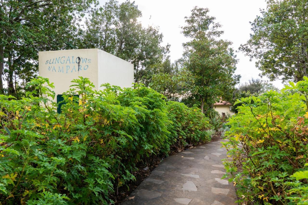 Bungalows Do Amparo Ponta do Pargo Zewnętrze zdjęcie